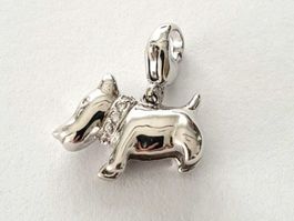 Charm Anhänger "Hund" Silber 925 (rhodiniert) - Neu