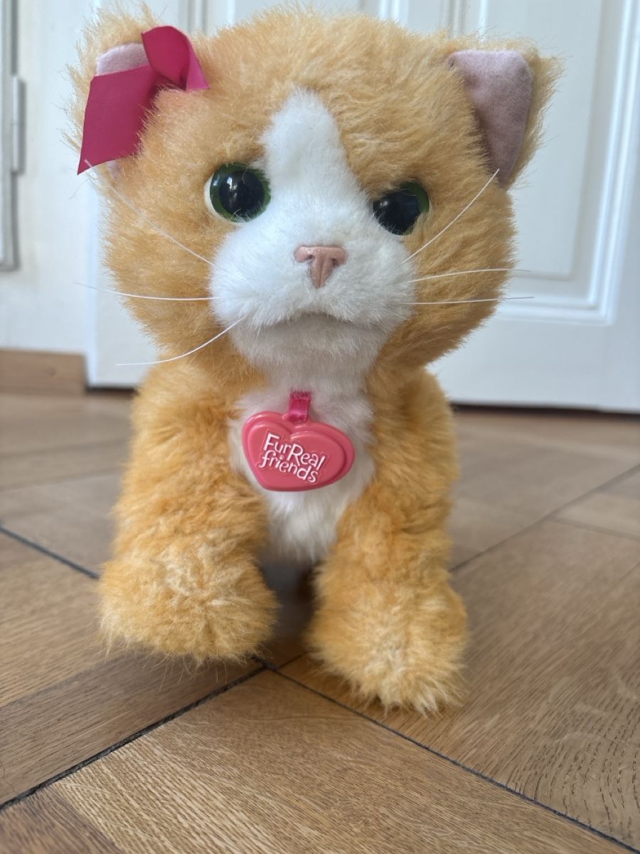 FurReal Giocattoli: FurReal friends Katze – Usato da Bern venduto da 24Sonne24 1