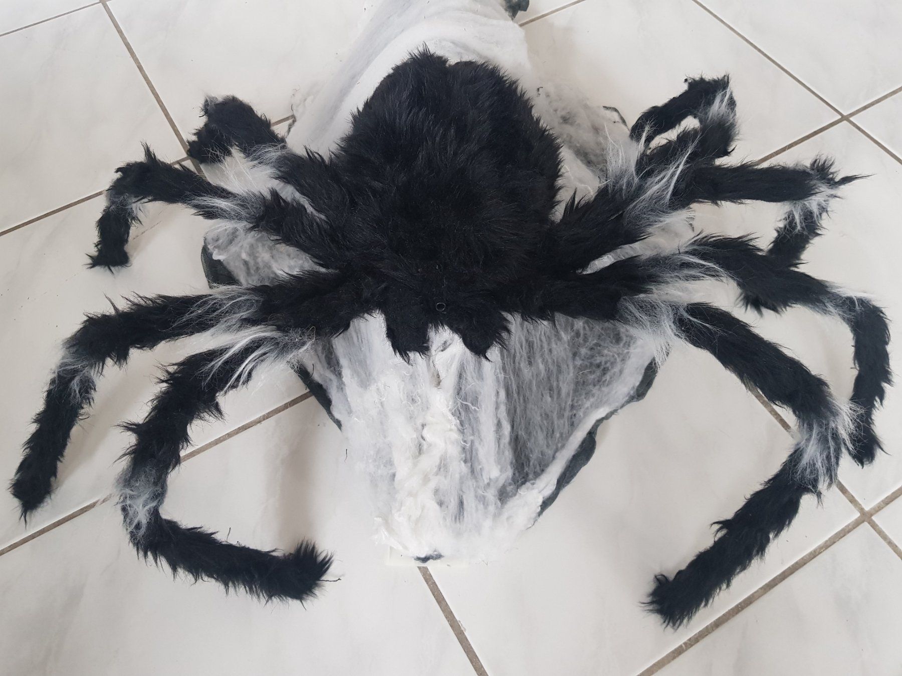 Tutte le decorazioni: HORROR/ HALLOWEEN GROSSE SPRINGSPINNE – Usato da Root venduto da LifestyleAccessoires 7