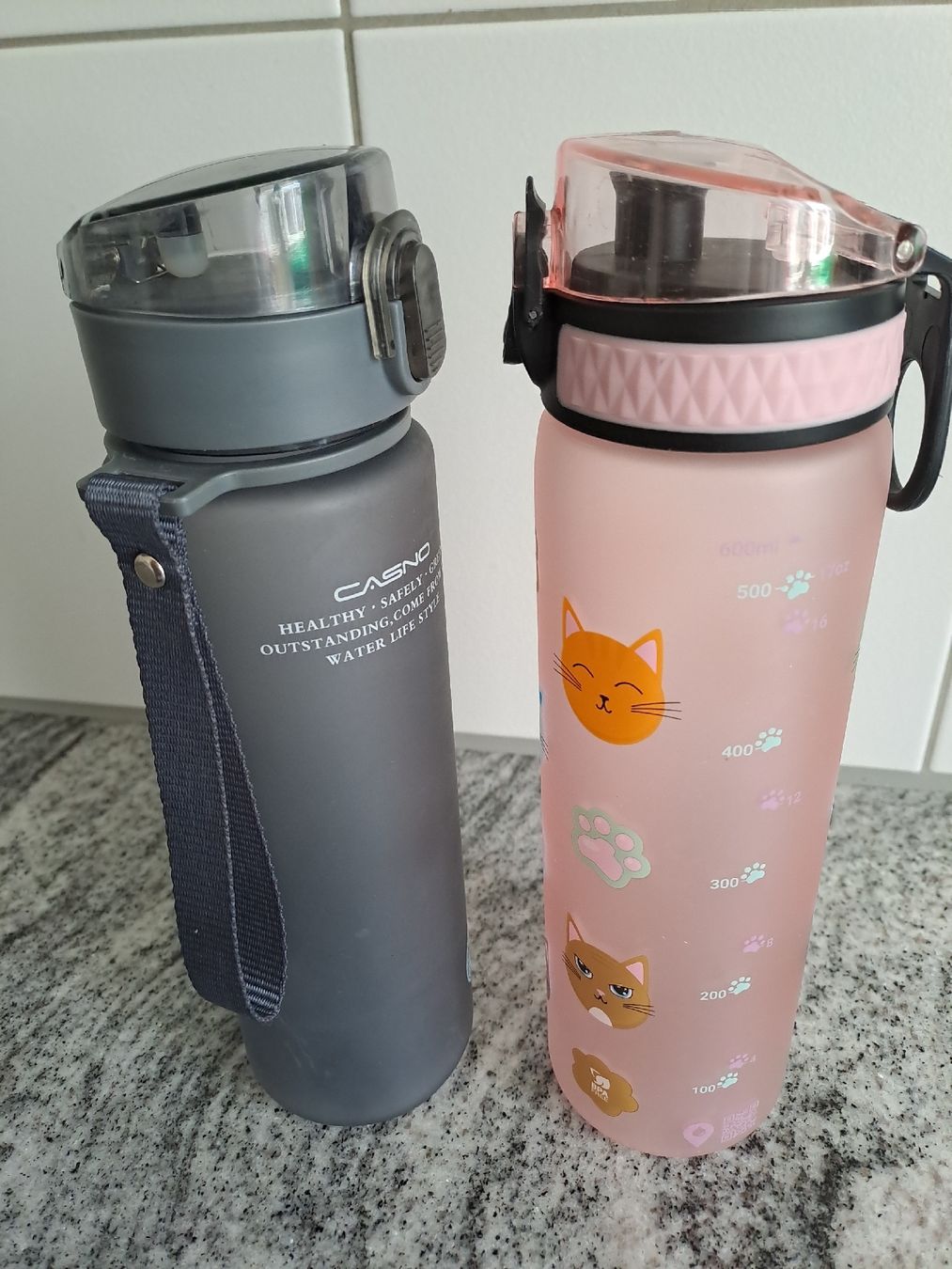Trinkflaschen & Thermosflaschen: Trinkflaschen Set 2 Stk. – Gebraucht aus Rickenbach LU von bishiida 1