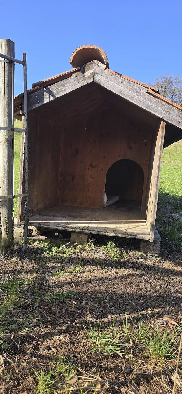 Cucce & Letti: Hundehütte mit Ziegeldach – Usato da Wil AG venduto da Elfina02 2