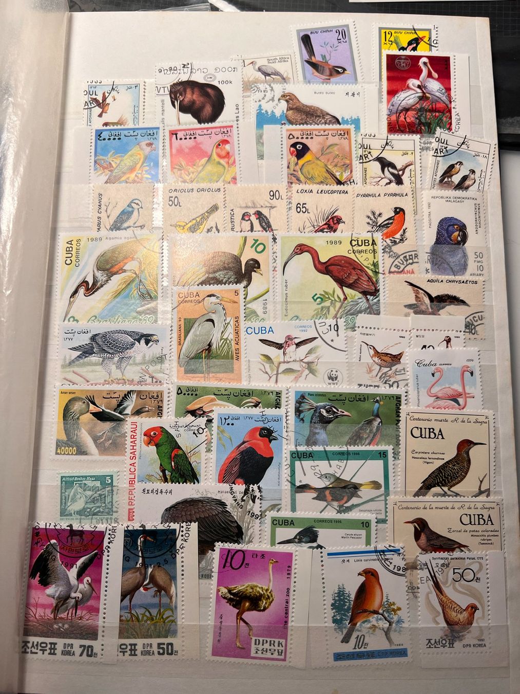 Tutti i francobolli: BRIEFMARKE VÖGEL LOT – Usato da Riva san vitale venduto da abd_p86k