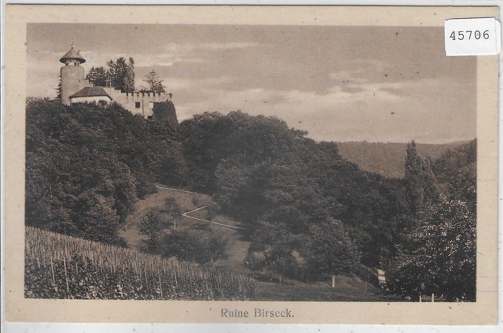 Cartes postales: Ruine Birseck – D'occasion à Ettingen par Kartenplanet