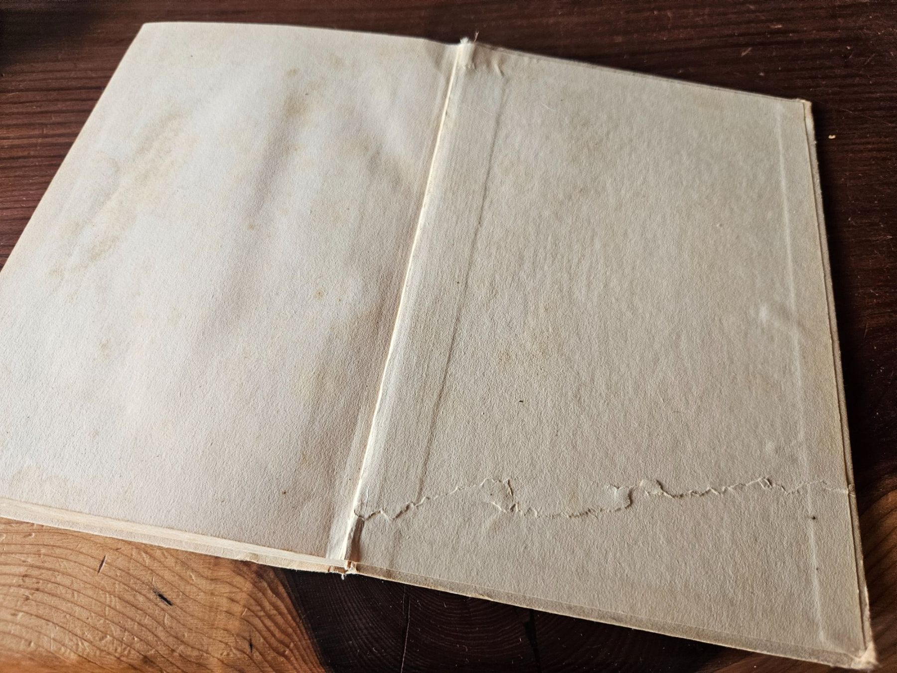 Libri: Heimatlos, Johanna Spyri – Usato da Maseltrangen venduto da Chrusli7 4