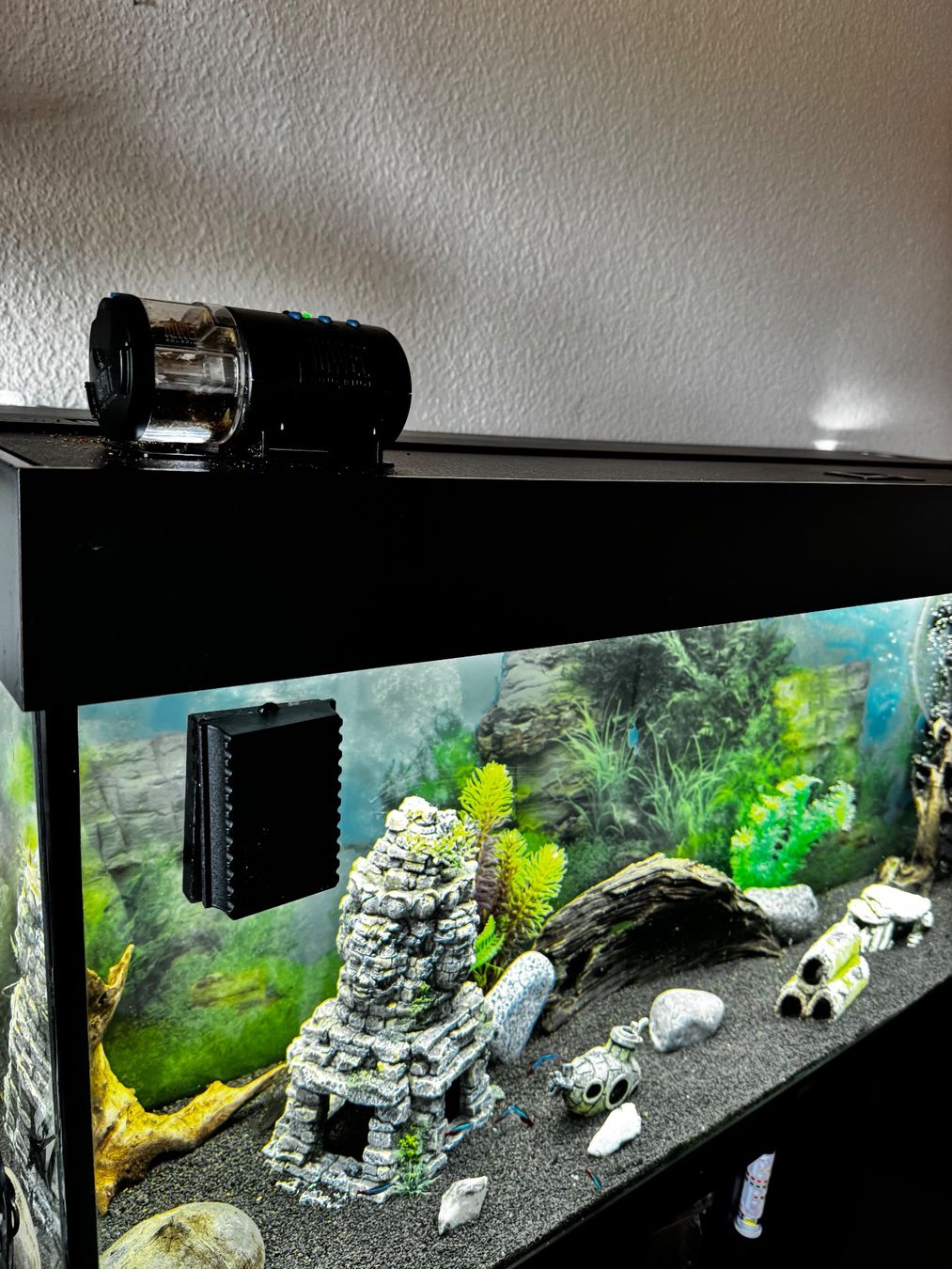 Aquarium: Aquarium eau douce (prix discutable) – D'occasion à Lausanne par gre_97wx 1