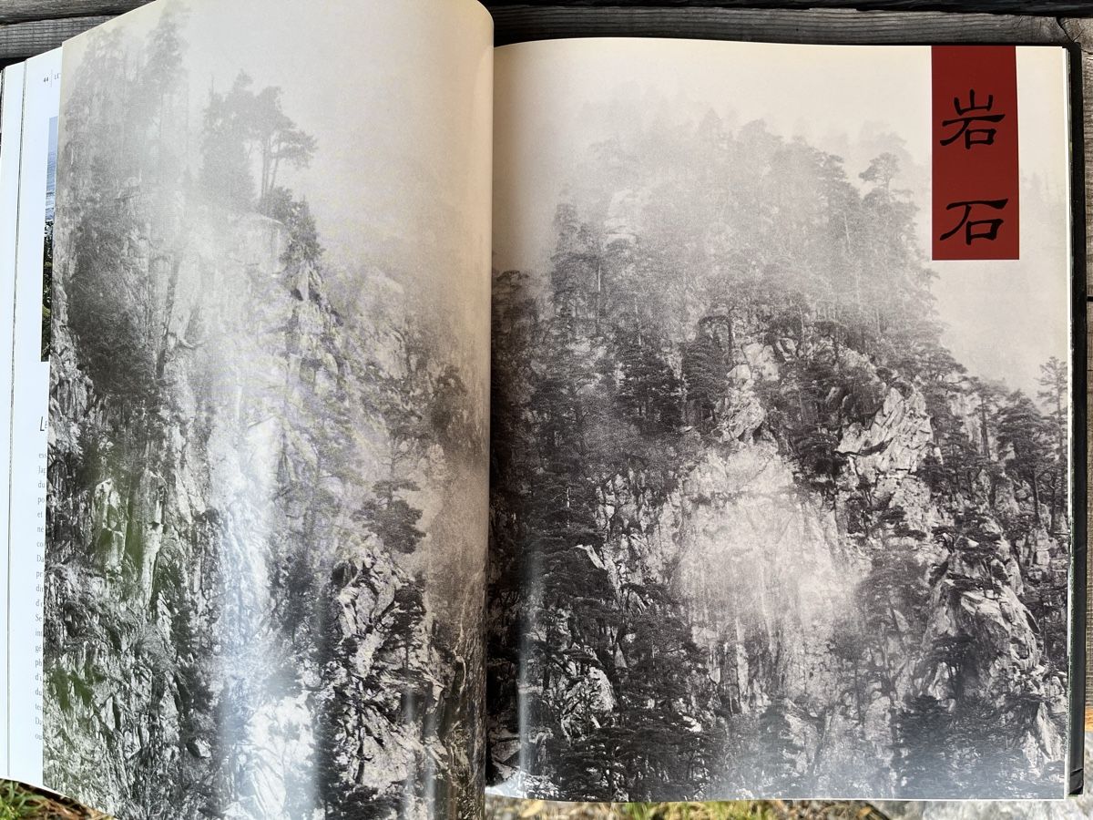 Libri: Les leçons du JARDIN ZEN – Usato da Euseigne venduto da so.ART 2