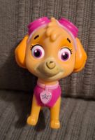 Paw patrol Sky