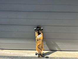 Lonboard Area, Zebra