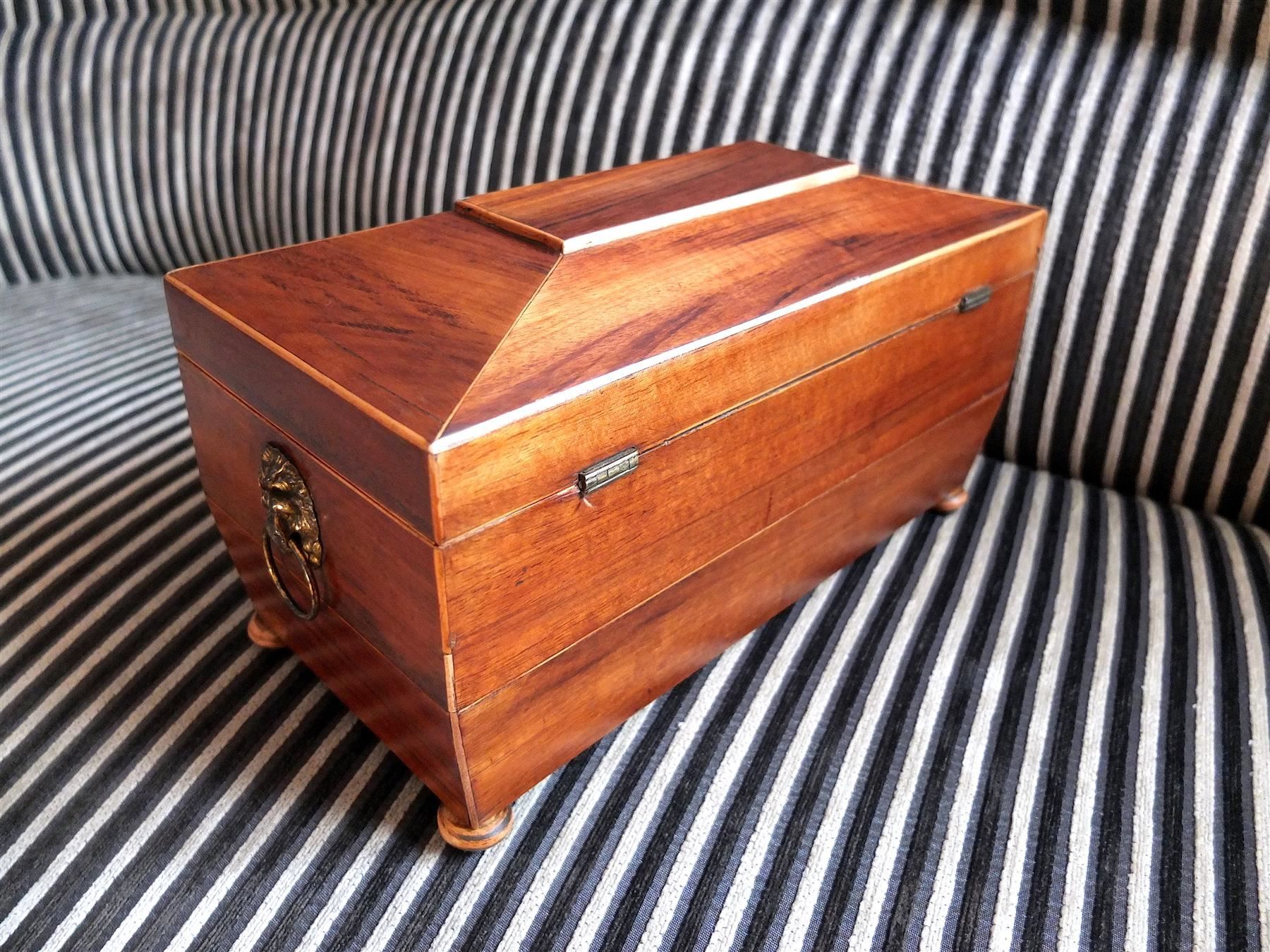Barattoli: B0115 Tea Caddy/Tee-Schatulle mit Löwenköpfen Regency ~1820 – Usato da Horgen venduto da Antiqueboxes 6