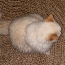 Profile image of eti_8kch