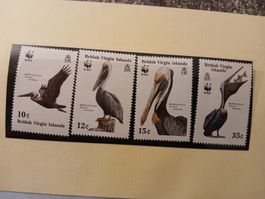Îles Vierges Britanniques - Série de timbres Pélican!