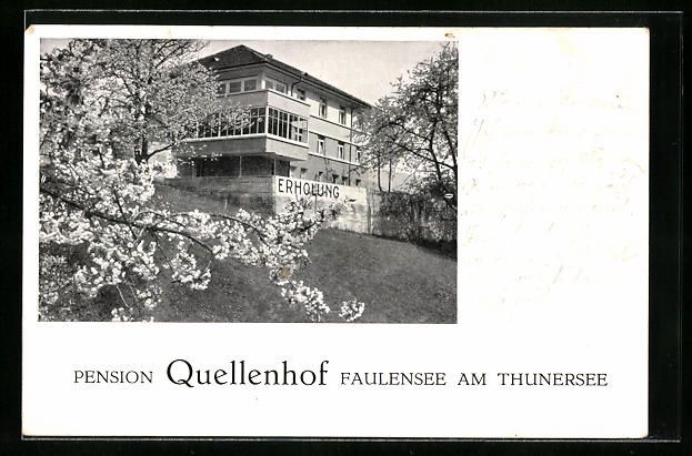 Ansichtskarten: Faulensee am Thunersee, Pension Quellenh – Gebraucht aus Berlin von bartko-reher