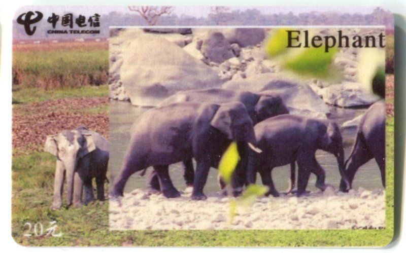 Cartes de téléphone: Telefonkarte "Elefanten". – D'occasion à Basel par Butsch5