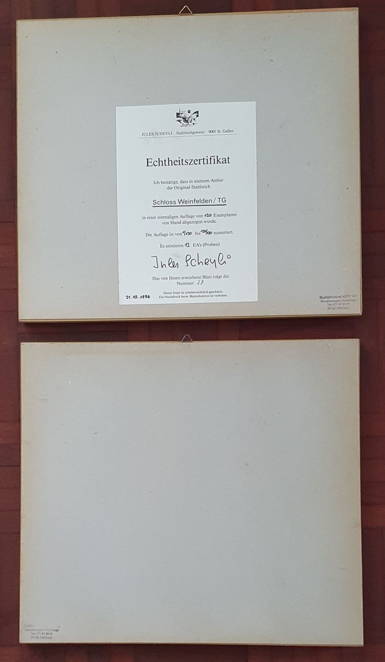 Stiche: 2 Bilder - Stahlstich Weinfelden von Jules Scheyli – Gebraucht aus Kreuzlingen von Rschweiz1 7