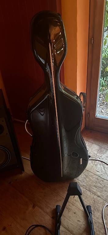 Musikinstrumente: Violoncelle Erich Werner – Gebraucht aus Vaulion von Simonsuter 1