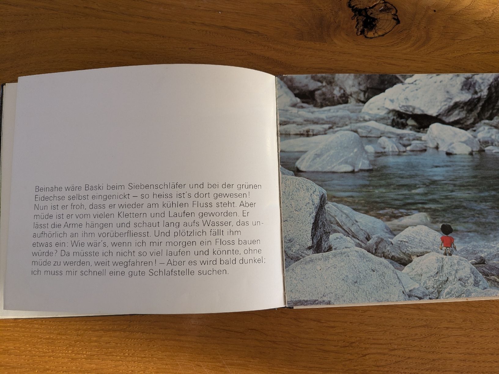 Libri: Baski "Mit Baski durch den Urwald" 1976 – Usato da Wohlen AG venduto da merkur0300 5