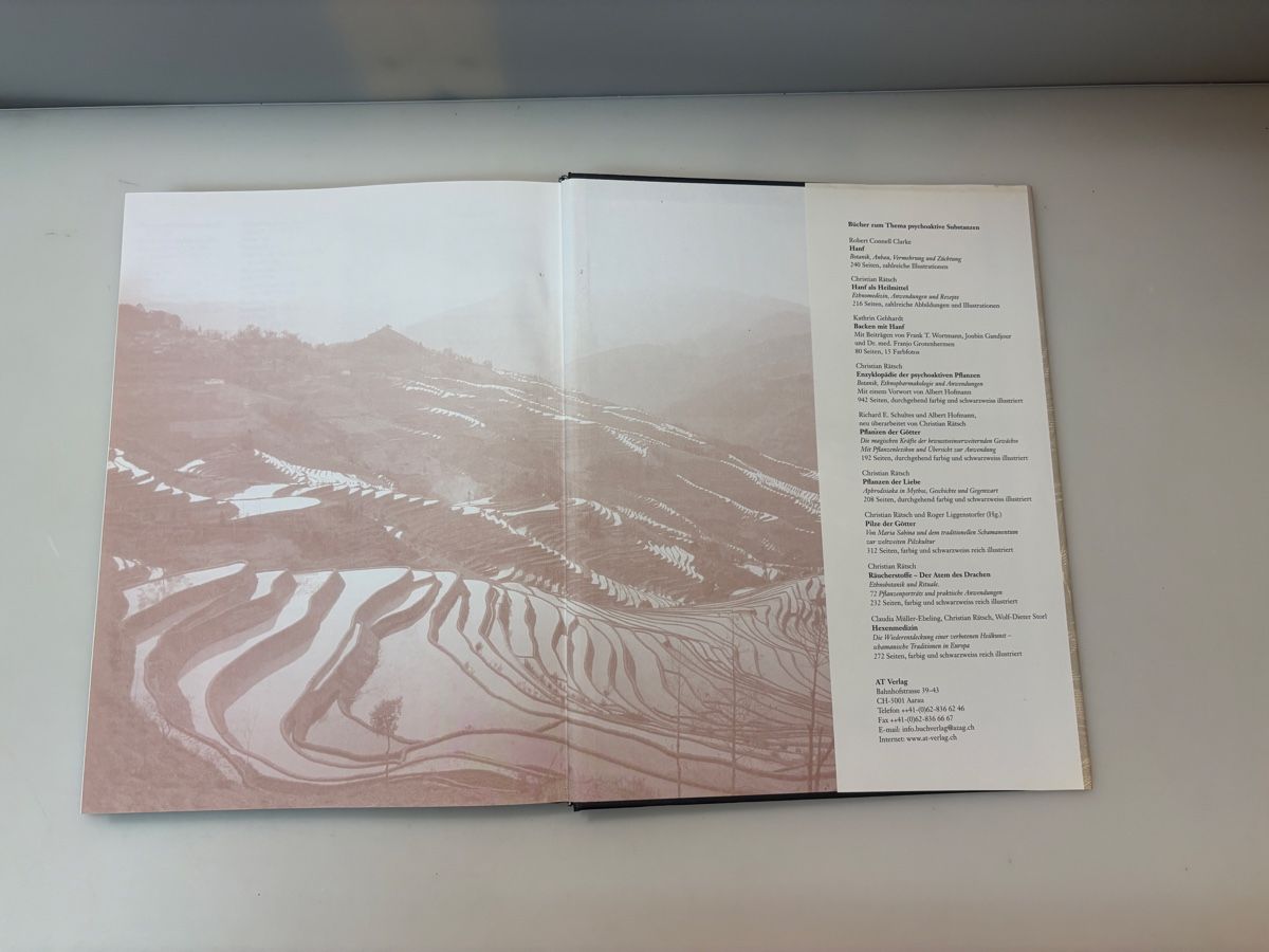 Libri: Robert Connell Clarke Haschisch wie NEU – Nuovo (secondo la descrizione) da Küssnacht am Rigi venduto da sie_5yqs 8