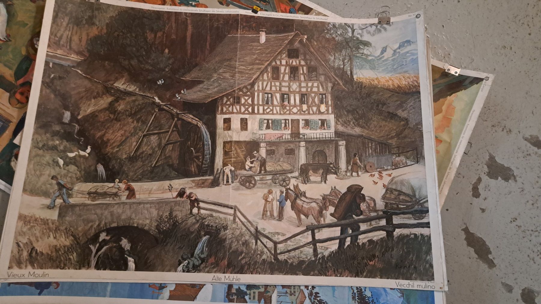 Posters & Illustrations: Schulwandbilder – D'occasion à Flawil par Dodo68