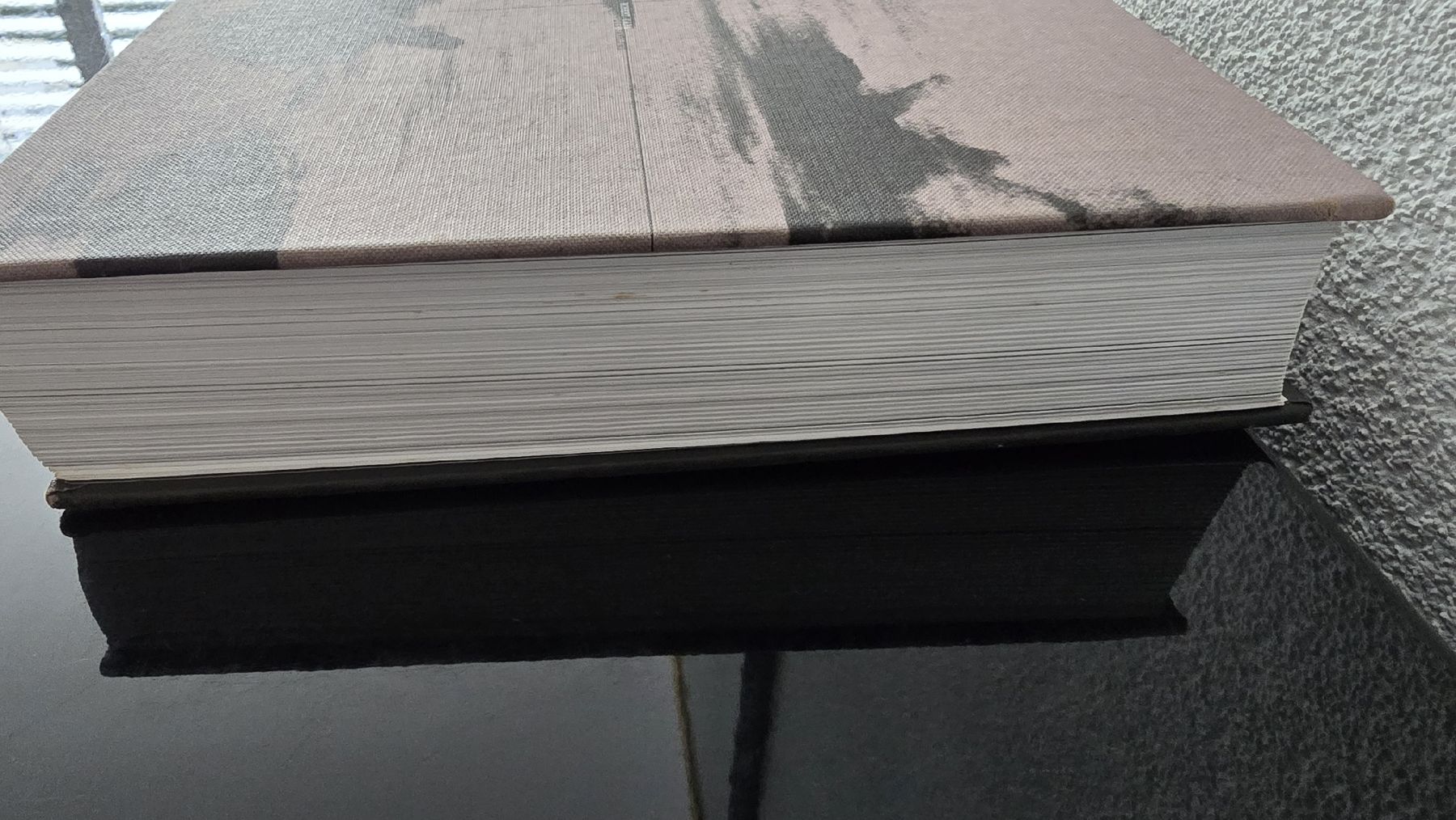 Libri: Phaidon Buch /Die Sammlung – Usato da wallisellen venduto da funkelsternchen5 2