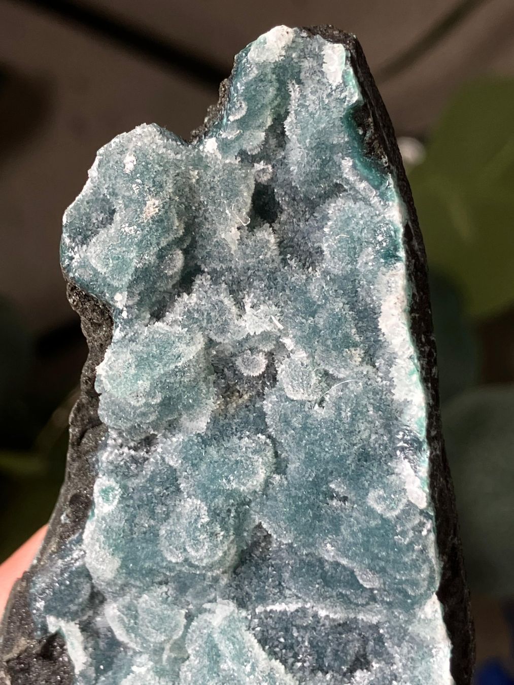 Minerali & Pietre curative: Grüner Chalcedon-Stalaktit – Nuovo (secondo la descrizione) da Neuheim venduto da m.hald 4