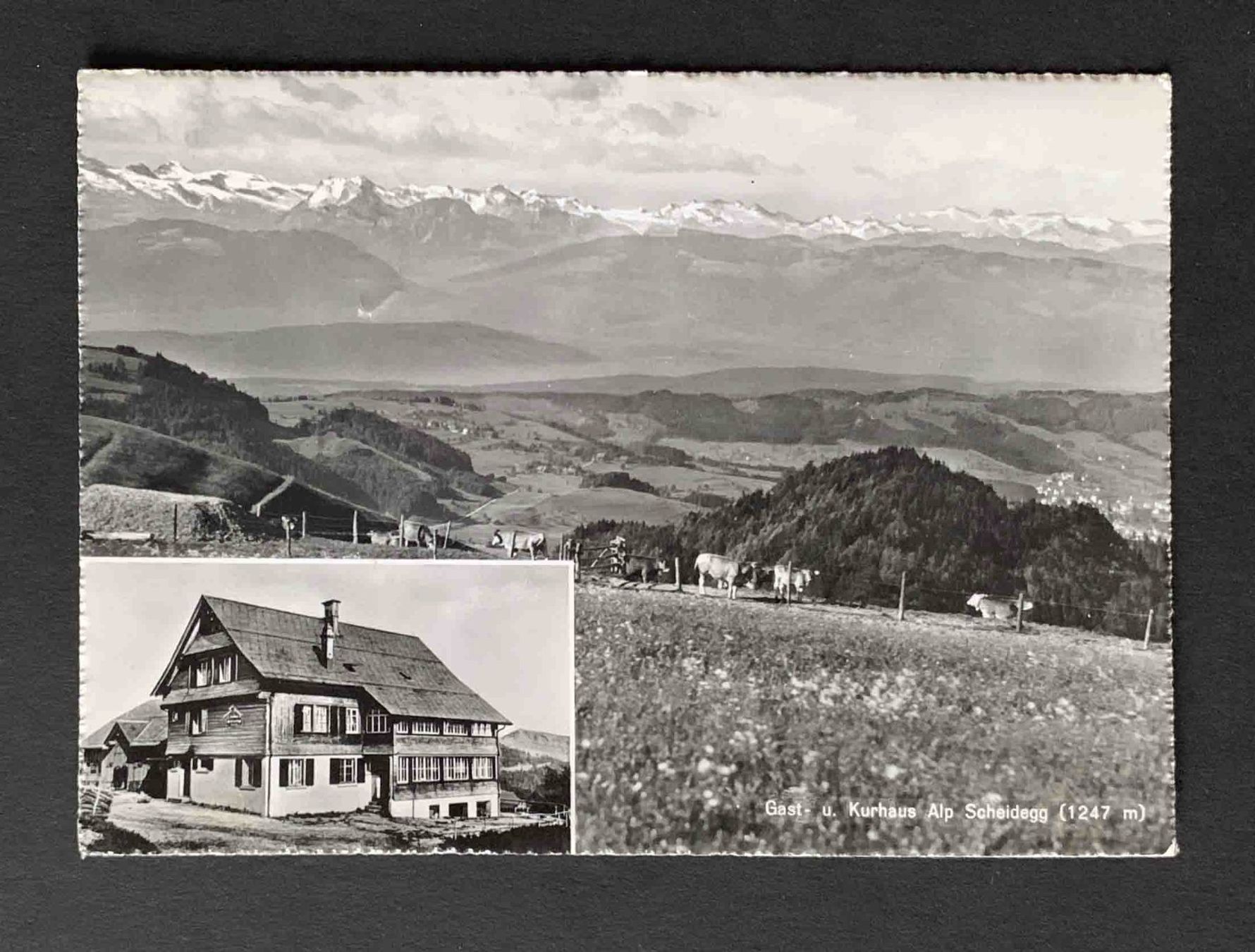 Cartoline postali: AK Alp Scheidegg Gast und Kurhaus – Usato da Goldau venduto da artelier1
