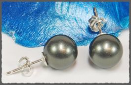 South Sea Muschelkernperlen Ohrstecker 8mm