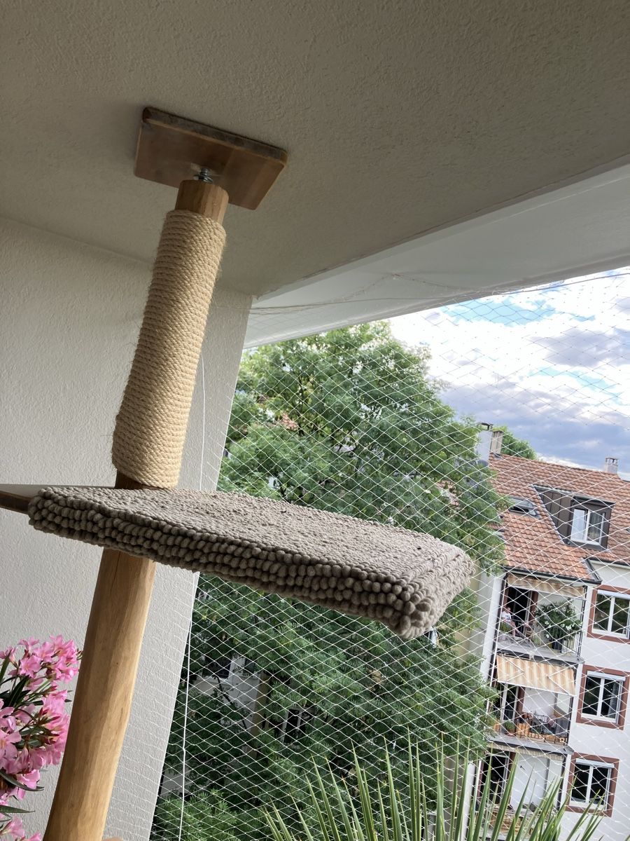 Tiragraffi: Katzenbaum mit Kratzmöglichkeit und 2 Sitzflächen – Usato da Basel venduto da Wiub 4