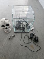 Aquarium 