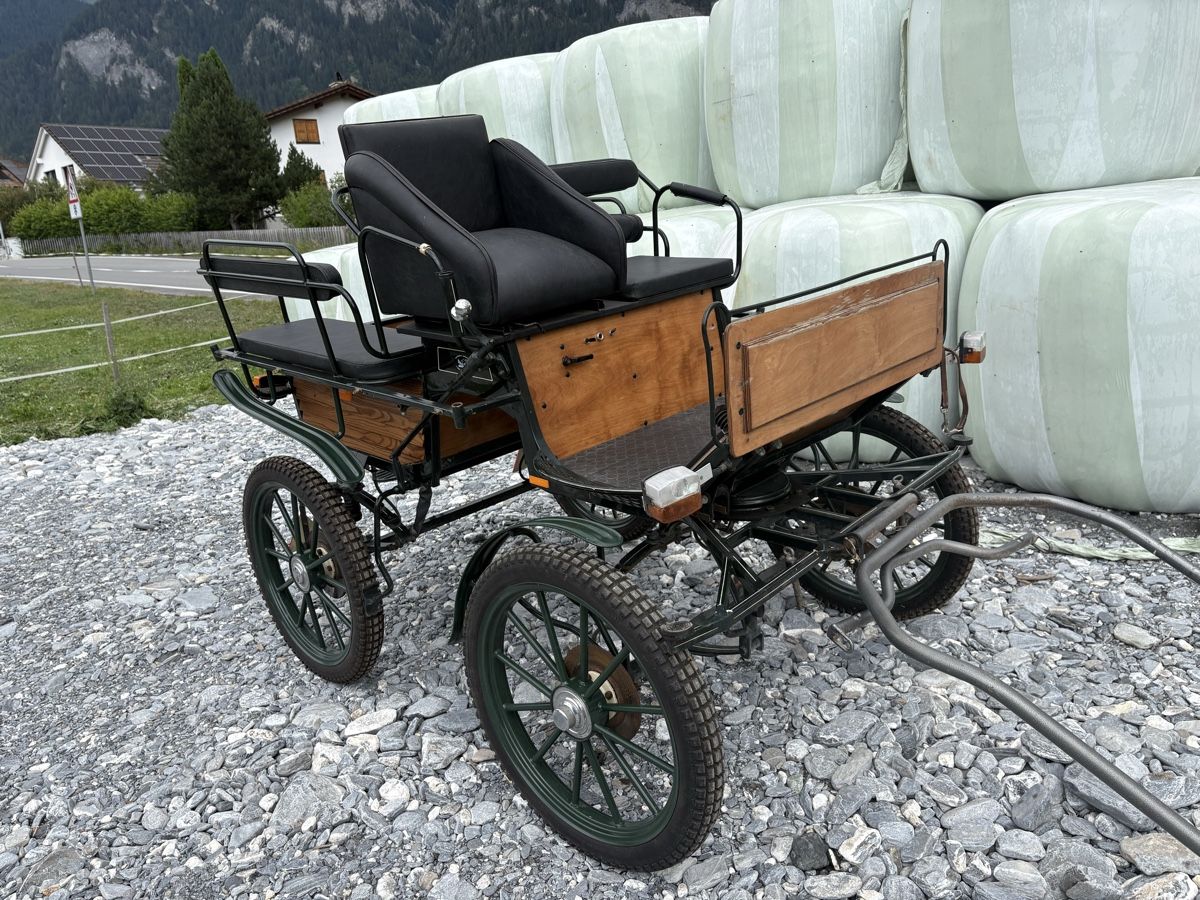 Calèches: Wagonette Planwagen Kutsche – D'occasion à Fürstenaubruck par Reddog6 4
