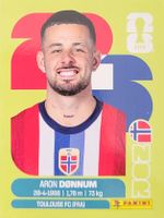 Panini FIFA World Cup NOR 17