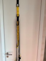 TRX with door anchor