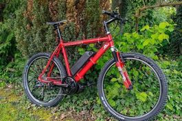 Individuelles Customized E-Bike BAFANGBBS02 SAMSUNGE50 960Wh