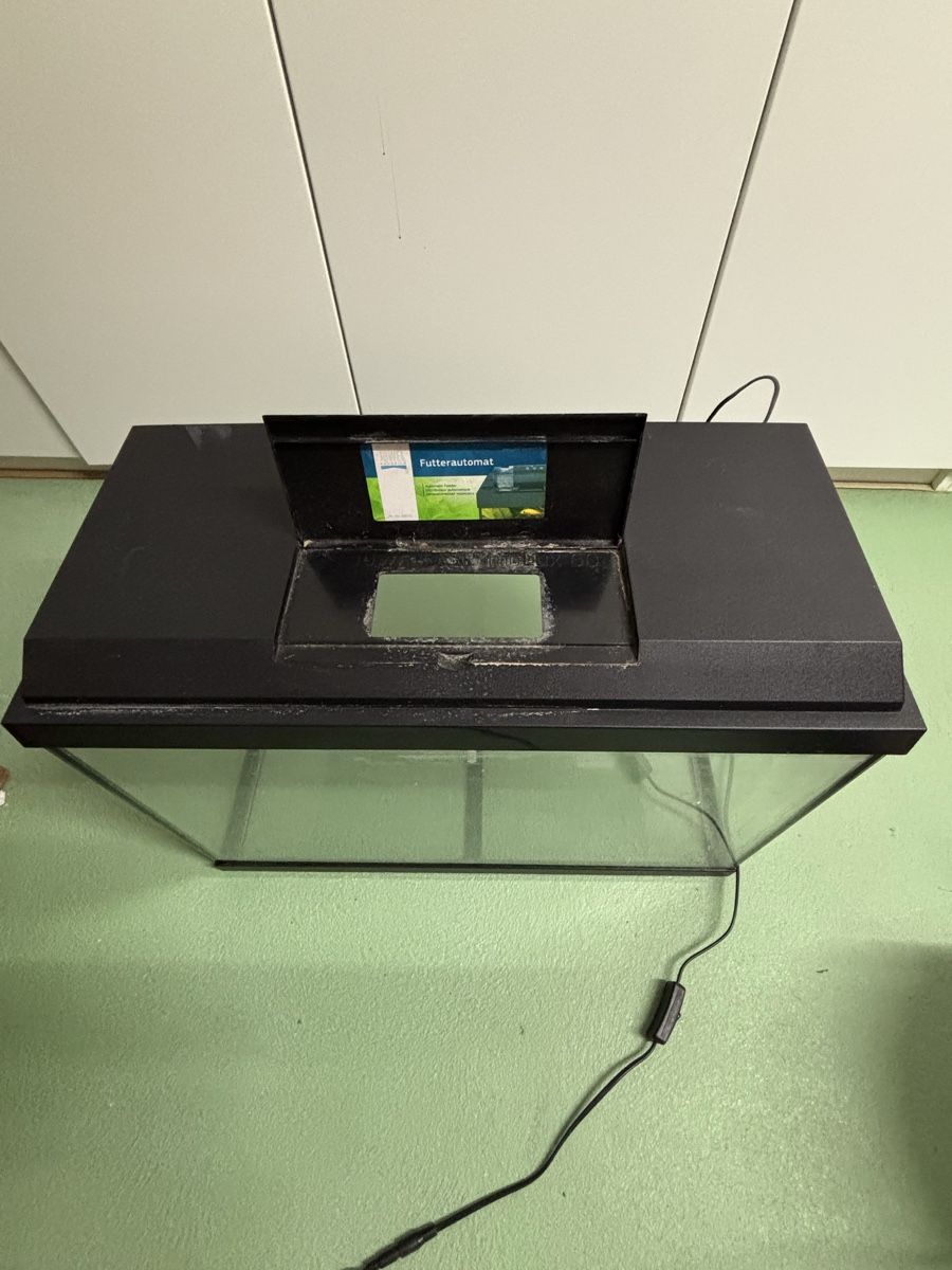 Aquarium: Gratis Aquarium 60x30x40cm – D'occasion à Hettlingen par tim_h26c 1