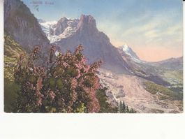 Motivkarte Erika / Alpen, ST Bruggen 1917