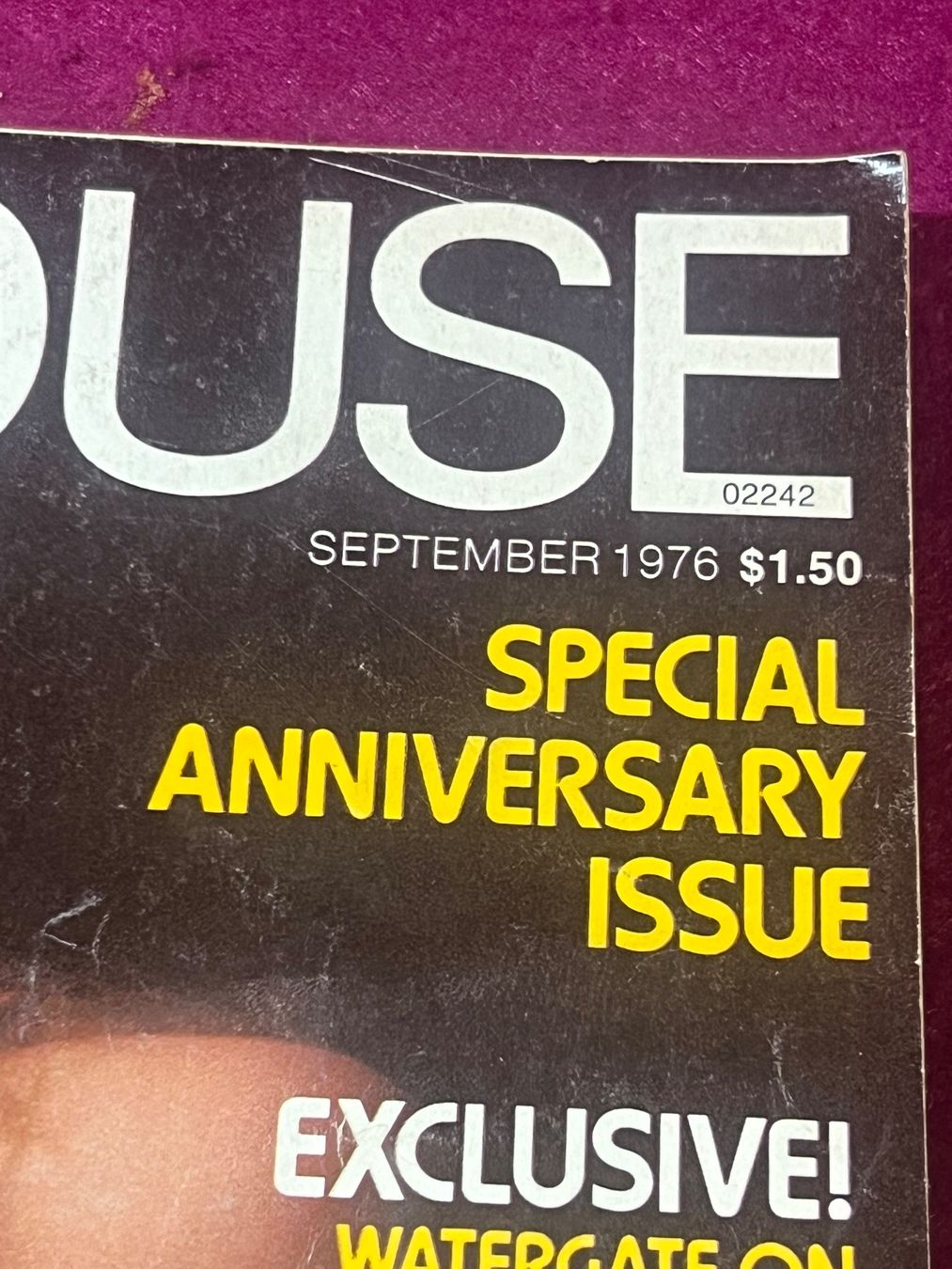 Zeitschriften & Magazine: PENTHOUSE (c) US original Ausgabe – Gebraucht aus Uster von Mr.Twister 1