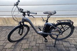 E-Bike Flyer Gotour4