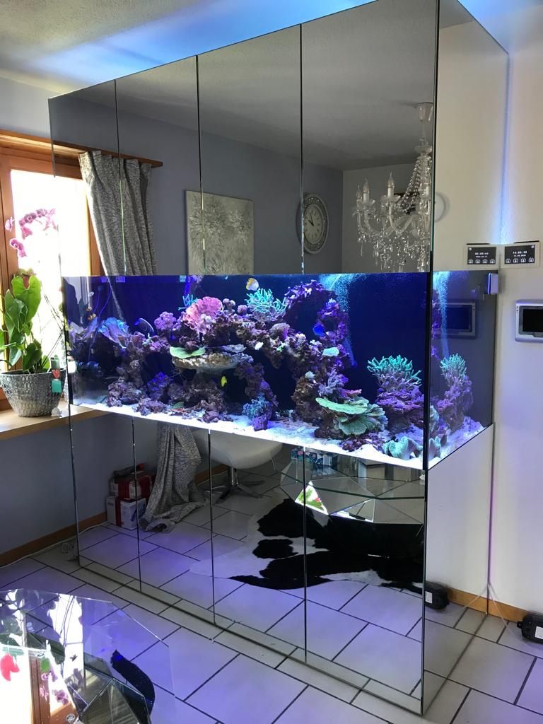Acquari: 200x70x70 Meerwasser Aquarium – Nuovo (secondo la descrizione) da Berikon venduto da fischundart