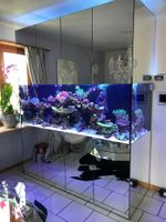 200x70x70 Meerwasser Aquarium