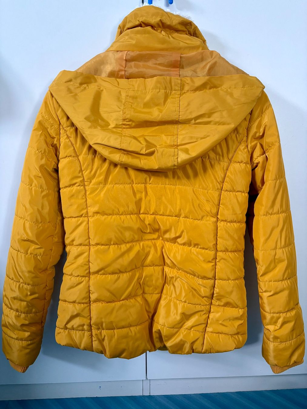 Dorothy Perkins Jacken: Giacca invernale – Gebraucht aus Torricella von non_t6pd 1