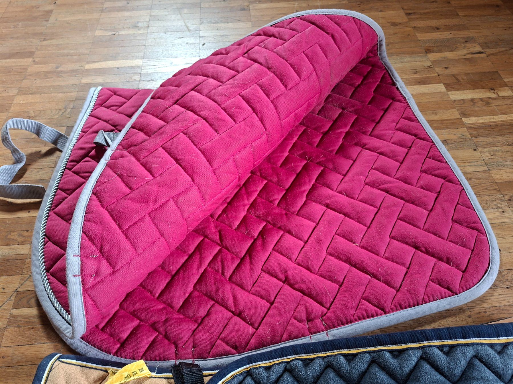 Selle & Accessori: Schabraken Full gelb & pink – Usato da Ins venduto da eva_2j6w 2