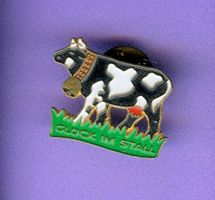 Kuh  GLÜCK IM STALL