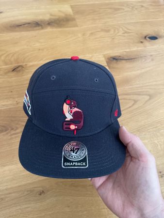 RedBull 5Panel 47 Cap