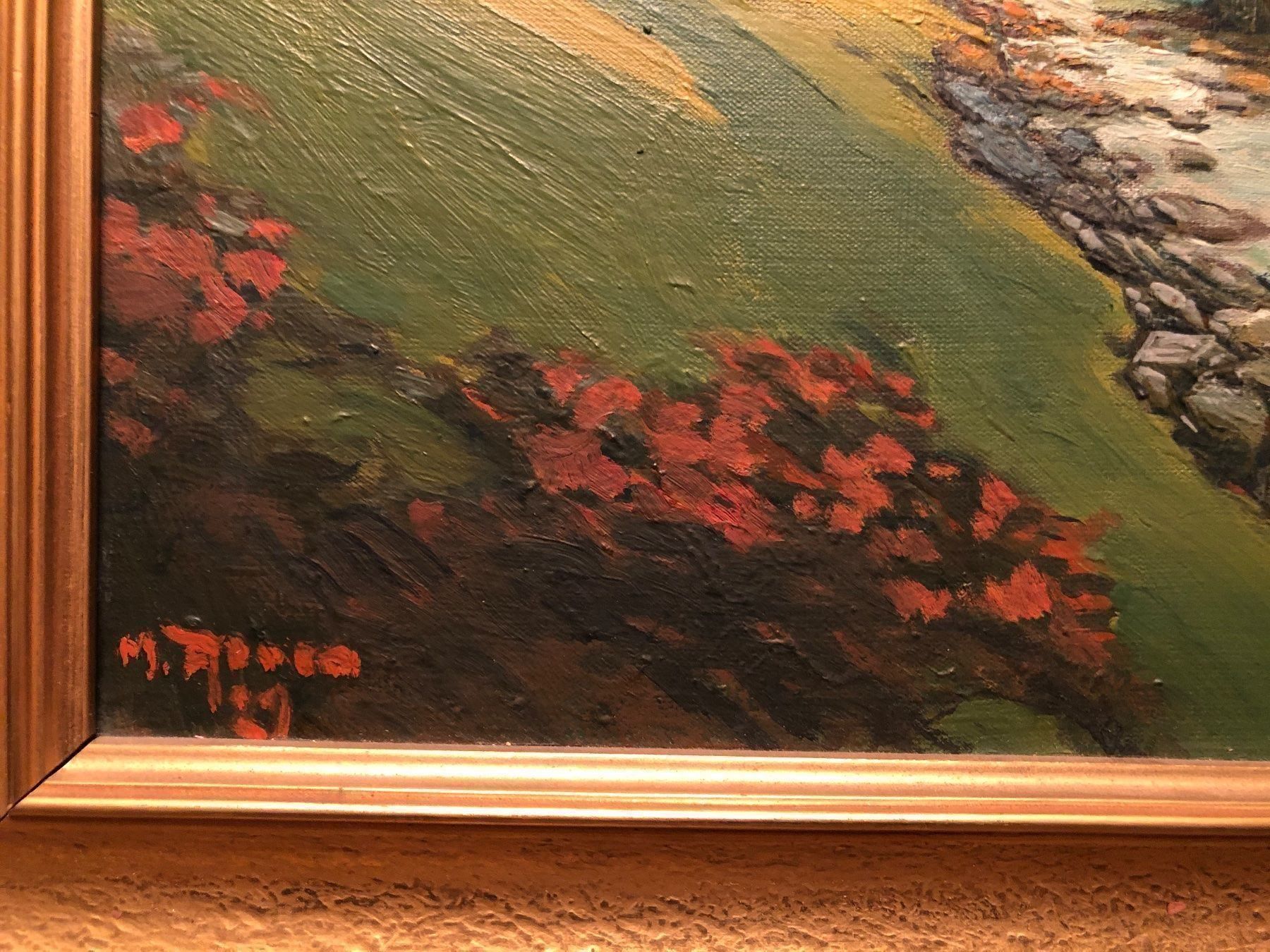 Foto & Immagini: Wunderschöne Landschaft. Schweiz. 1929. – Usato da Wald ZH venduto da mlnt 4