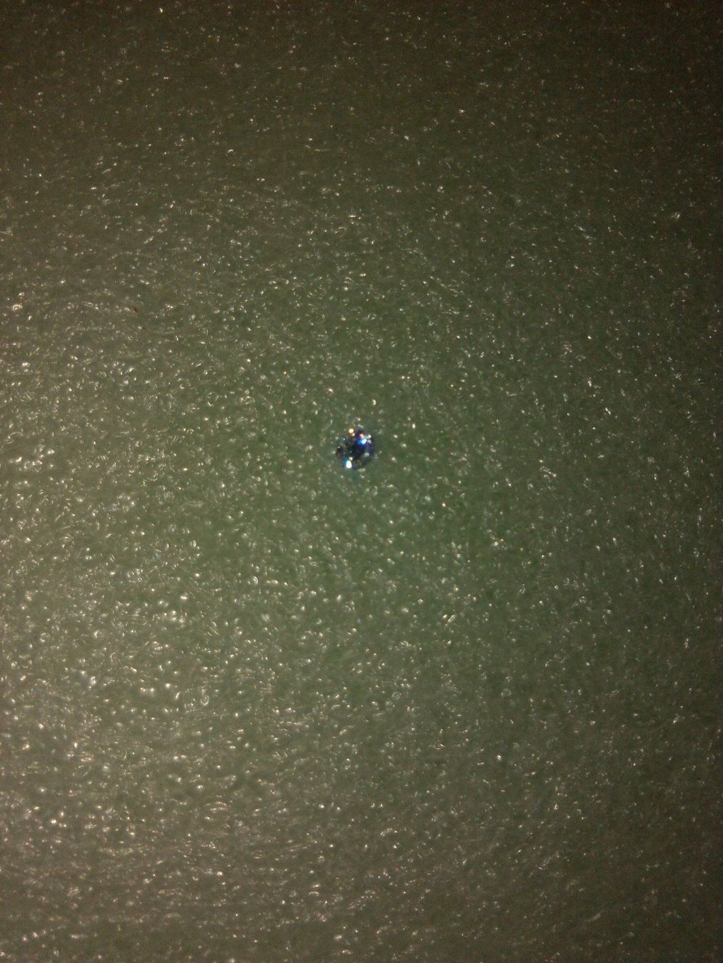 Pietre preziose: ECHT DIAMANT 1CARAT,,,RUND FORM,,,GLANZIG – Nuovo (secondo la descrizione) da Basel venduto da bijoutrie_4 6