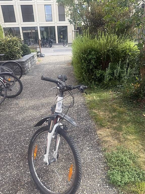 Velos: Bike Trek – Gebraucht aus Thun von noe_rz5b