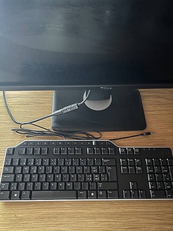 Dell Monitor: Bildschirm, Tastatur, alle Kabel – Usato da Gisikon venduto da luz_l95s 2