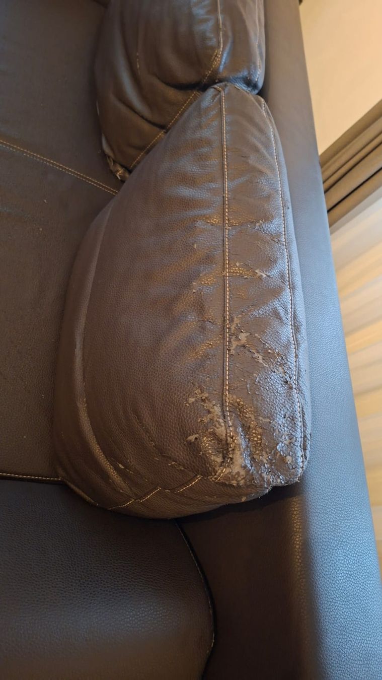 Divani: Schlafsofa aus Kunstleder – Usato da Wigoltingen venduto da blautiger 4