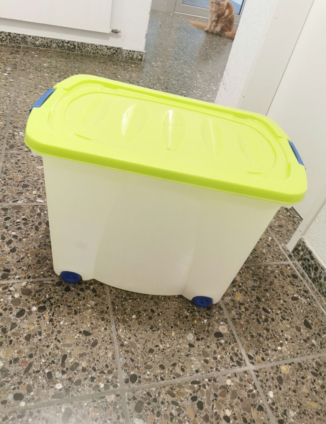 Casse di trasporto: Grosse Aufbewahrungs Box – Usato da Schindellegi venduto da R.Temperli 1