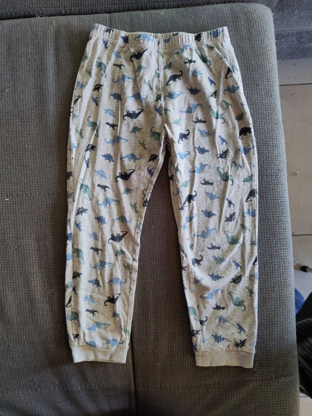 Migros Pigiama & Simili: Pyjama Dino lang 110/116 Baumwolle – Usato da Romont FR venduto da may_x6gf 6