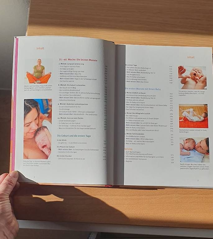 Libri: Schwangerschaft, Geburt & erste Babymonate – Usato da Steffisburg venduto da flueru 2